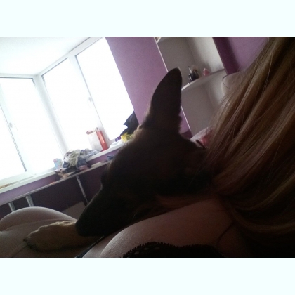 ���� ������� � ������� �������� 